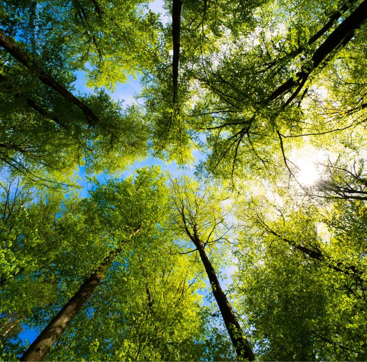 Environmental Sustainability - Logic Fire & Security